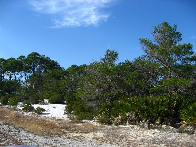 Saint-Andrews-State-Park-Panama-City-Beach-FL-0059