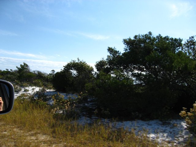 Saint-Andrews-State-Park-Panama-City-Beach-FL-0062