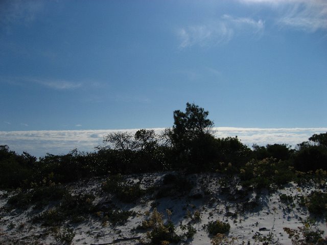 Saint-Andrews-State-Park-Panama-City-Beach-FL-0063