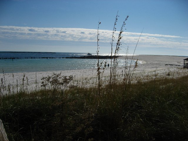 Saint-Andrews-State-Park-Panama-City-Beach-FL-0069