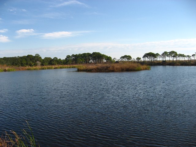 Saint-Andrews-State-Park-Panama-City-Beach-FL-0091