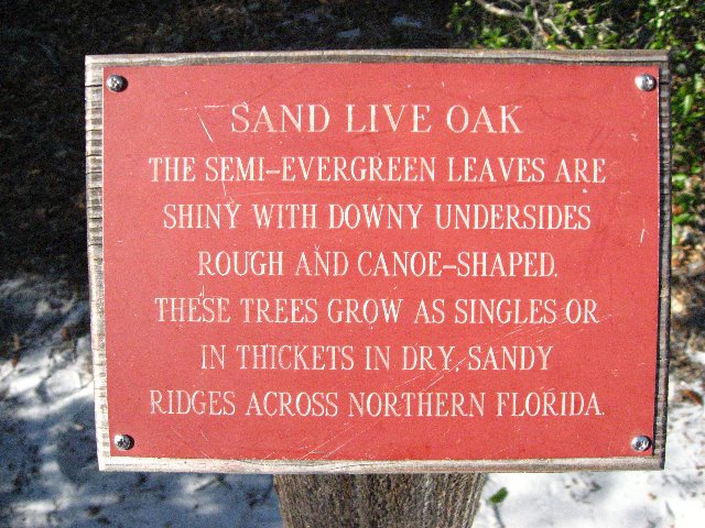 Saint-Andrews-State-Park-Panama-City-Beach-FL-0117