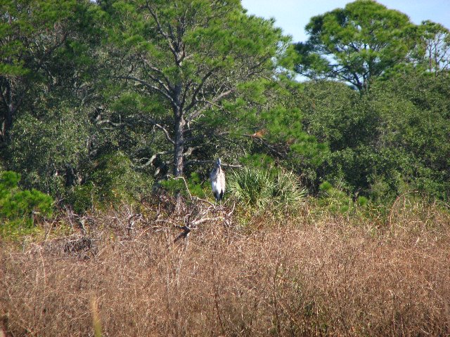 Saint-Andrews-State-Park-Panama-City-Beach-FL-0153