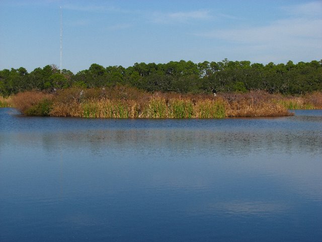 Saint-Andrews-State-Park-Panama-City-Beach-FL-0160