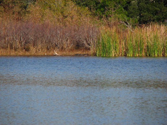 Saint-Andrews-State-Park-Panama-City-Beach-FL-0161