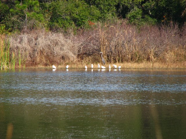 Saint-Andrews-State-Park-Panama-City-Beach-FL-0162