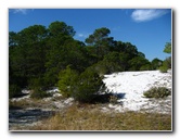 Saint-Andrews-State-Park-Panama-City-Beach-FL-0058