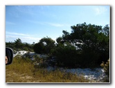 Saint-Andrews-State-Park-Panama-City-Beach-FL-0062