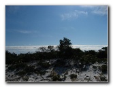 Saint-Andrews-State-Park-Panama-City-Beach-FL-0063