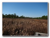 Saint-Andrews-State-Park-Panama-City-Beach-FL-0135