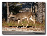 St. Andrews State Park - Panama City Beach, FL