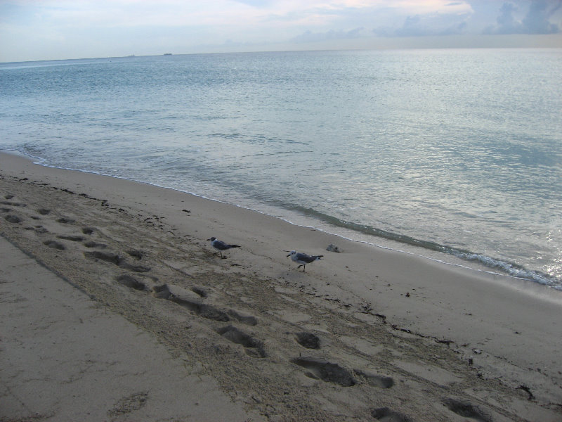 Sunny-Isles-Beach-Northeast-Miami-Dade-County-Florida-011
