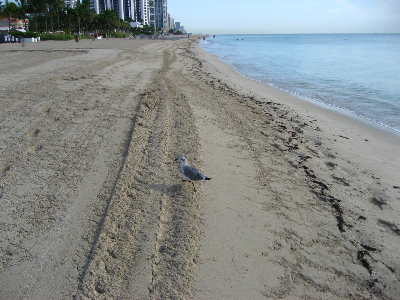 Sunny-Isles-Beach-Northeast-Miami-Dade-County-Florida-030