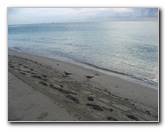 Sunny-Isles-Beach-Northeast-Miami-Dade-County-Florida-011