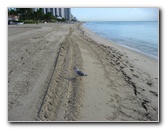 Sunny-Isles-Beach-Northeast-Miami-Dade-County-Florida-030