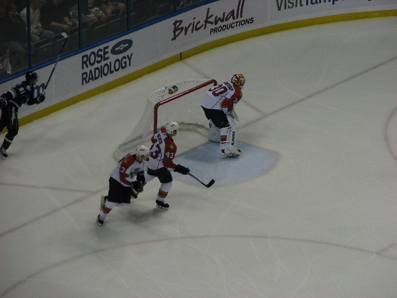 Tampa-Bay-Lightning-Bolts-Vs-Florida-Panthers-St-Pete-Times-Forum-010