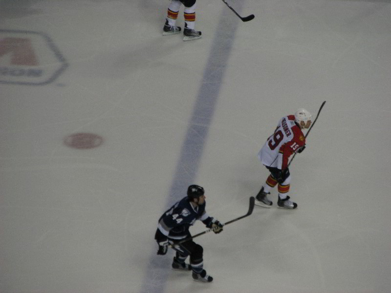 Tampa-Bay-Lightning-Bolts-Vs-Florida-Panthers-St-Pete-Times-Forum-031