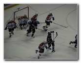 Tampa-Bay-Lightning-Bolts-Vs-Florida-Panthers-St-Pete-Times-Forum-022