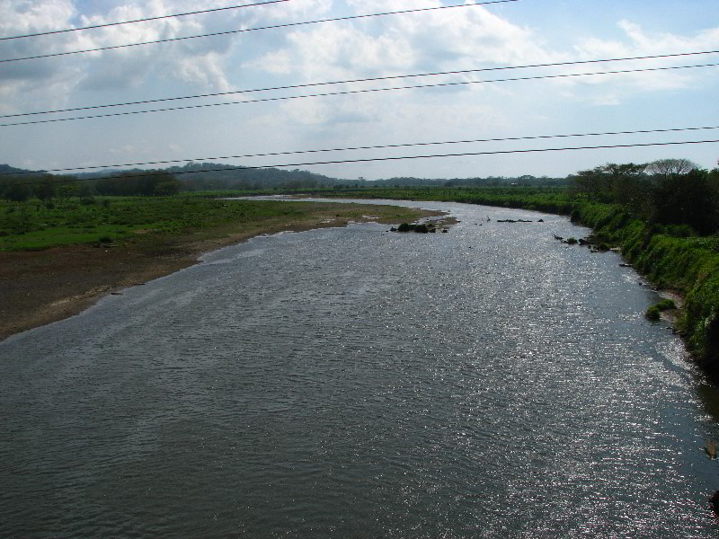 Tarcoles-River-Crocodile-Feeding-Costa-Rica-005
