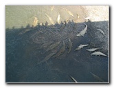 Tarcoles-River-Crocodile-Feeding-Costa-Rica-038