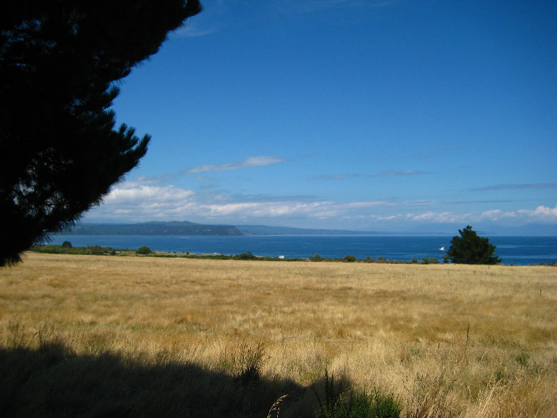 Taupo-Town-Waikato-Region-North-Island-New-Zealand-019