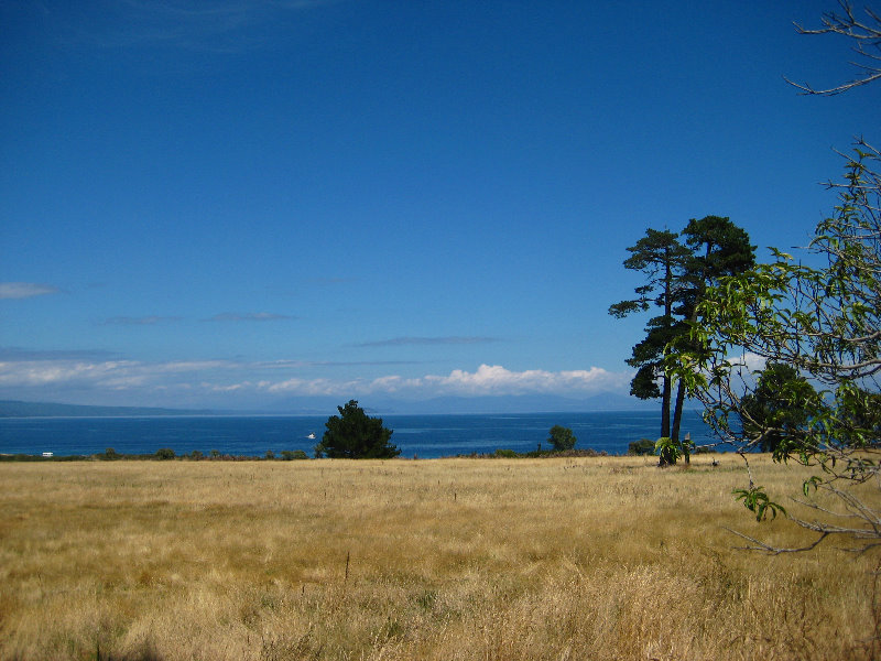 Taupo-Town-Waikato-Region-North-Island-New-Zealand-020