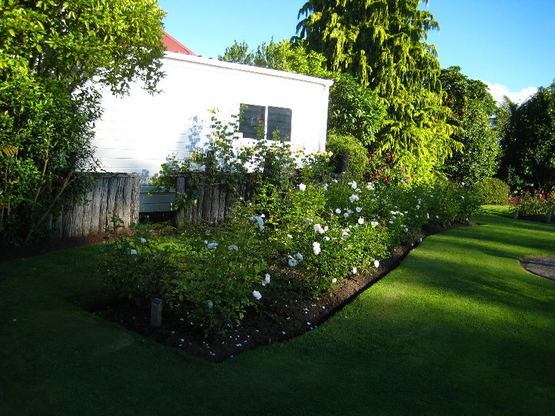 Taupo-Town-Waikato-Region-North-Island-New-Zealand-025