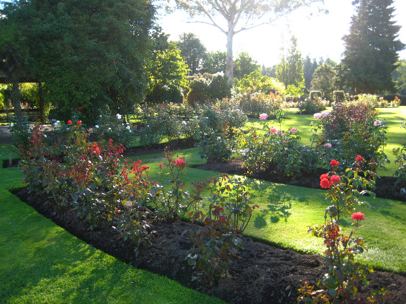 Taupo-Town-Waikato-Region-North-Island-New-Zealand-027