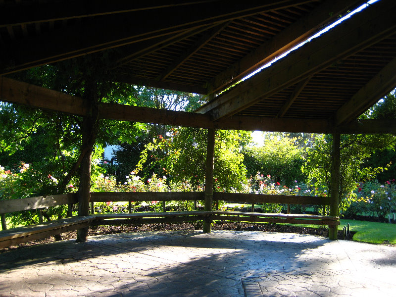 Taupo-Town-Waikato-Region-North-Island-New-Zealand-029