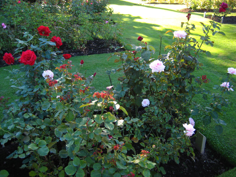 Taupo-Town-Waikato-Region-North-Island-New-Zealand-032