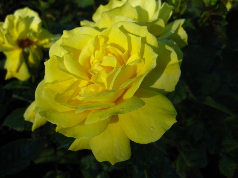 Taupo-Town-Waikato-Region-North-Island-New-Zealand-035