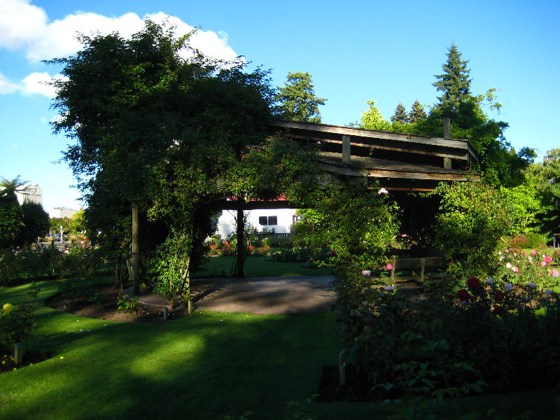 Taupo-Town-Waikato-Region-North-Island-New-Zealand-039