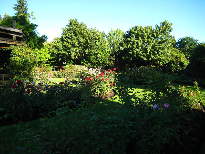 Taupo-Town-Waikato-Region-North-Island-New-Zealand-040