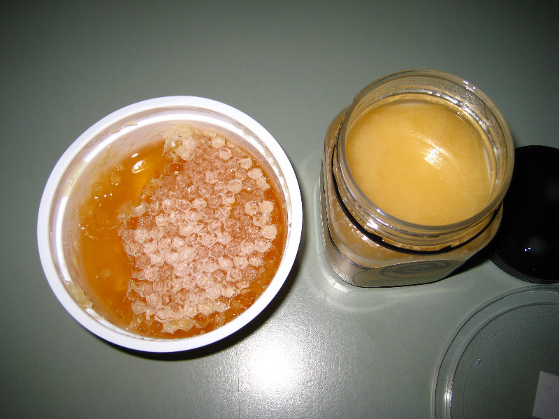 Taupo-Town-Waikato-Region-North-Island-New-Zealand-066