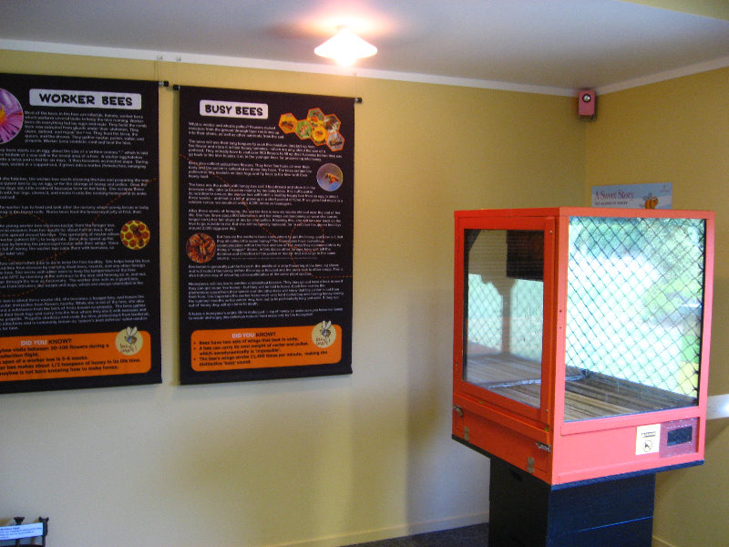 Taupo-Town-Waikato-Region-North-Island-New-Zealand-090