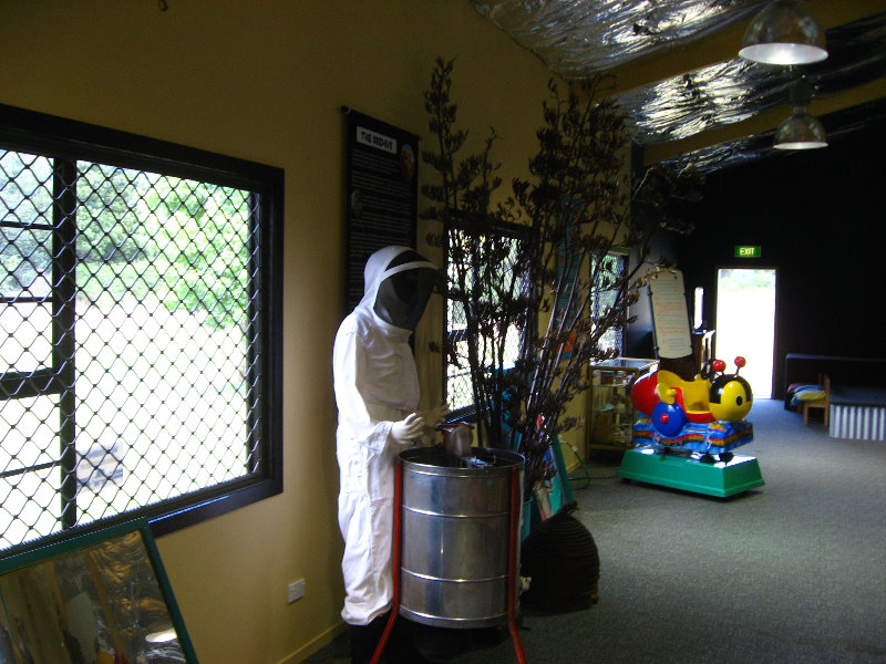 Taupo-Town-Waikato-Region-North-Island-New-Zealand-091