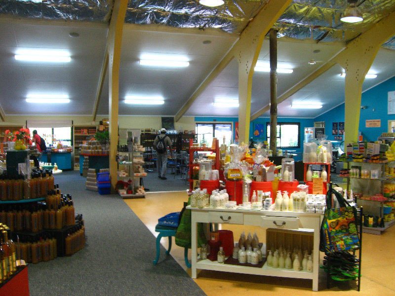 Taupo-Town-Waikato-Region-North-Island-New-Zealand-093