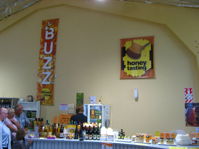 Taupo-Town-Waikato-Region-North-Island-New-Zealand-095