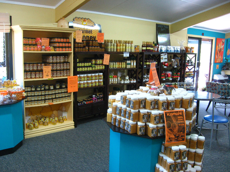 Taupo-Town-Waikato-Region-North-Island-New-Zealand-096