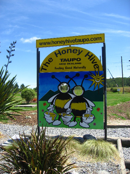 Taupo-Town-Waikato-Region-North-Island-New-Zealand-097