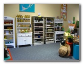 Taupo-Town-Waikato-Region-North-Island-New-Zealand-094