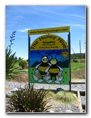 Taupo-Town-Waikato-Region-North-Island-New-Zealand-097