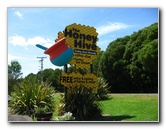 Taupo-Town-Waikato-Region-North-Island-New-Zealand-098