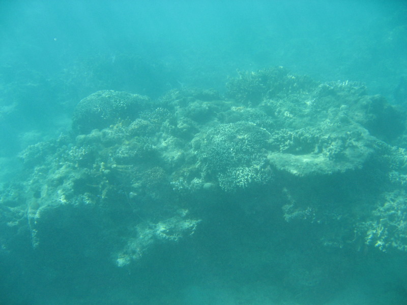 Taveuni-Island-Fiji-Underwater-Snorkeling-Pictures-044