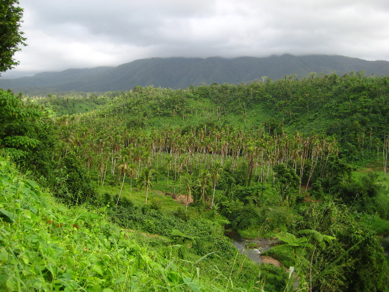 Tavoro-River-Waterfalls-Bouma-Park-Taveuni-Fiji-001