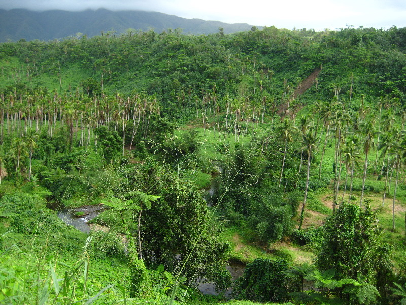 Tavoro-River-Waterfalls-Bouma-Park-Taveuni-Fiji-002