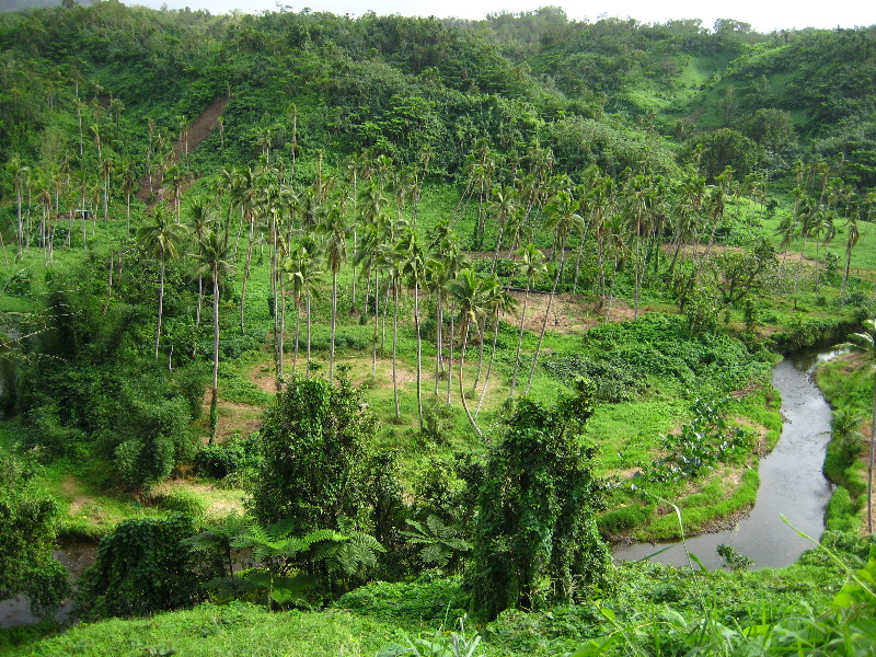 Tavoro-River-Waterfalls-Bouma-Park-Taveuni-Fiji-003