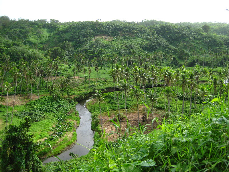 Tavoro-River-Waterfalls-Bouma-Park-Taveuni-Fiji-004