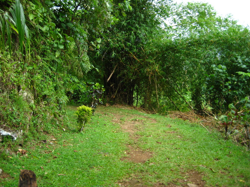 Tavoro-River-Waterfalls-Bouma-Park-Taveuni-Fiji-010