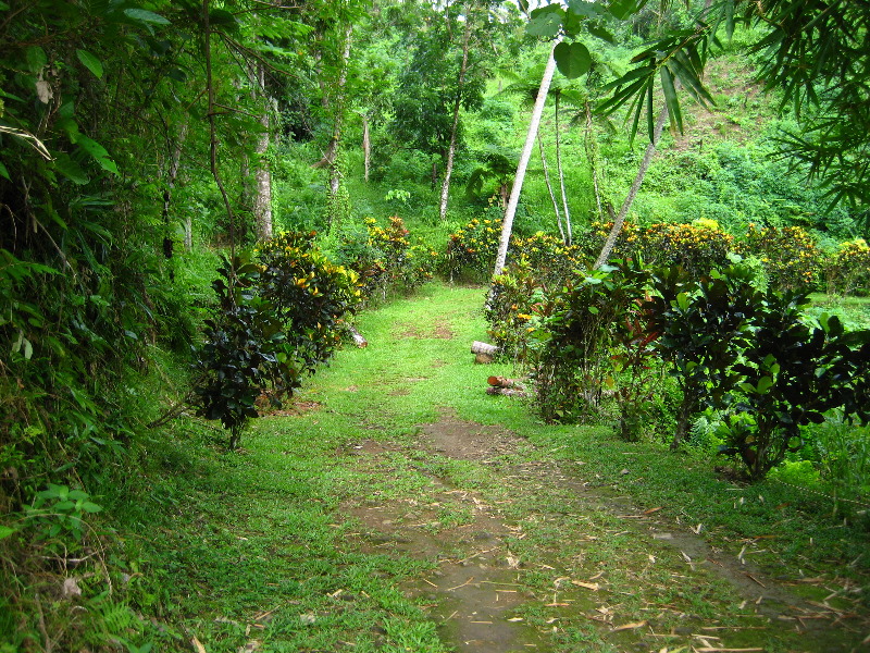 Tavoro-River-Waterfalls-Bouma-Park-Taveuni-Fiji-011